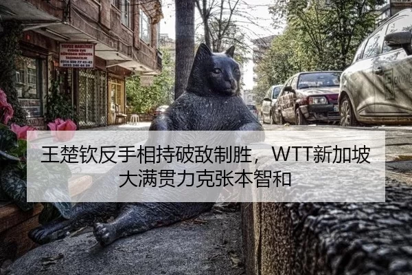 wang-chu-qin-fan-shou-xiang-chi-po-di-zhi-sheng-xin-jia-po-da-man-guan-li-ke-zhang-ben-zhi-he-2-321.jpg