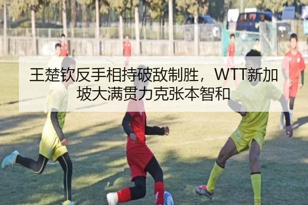 王楚钦反手相持破敌制胜，WTT新加坡大满贯力克张本智和